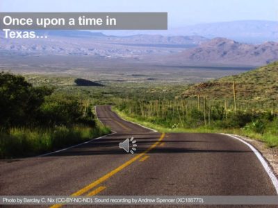 image for resource Bridging the Natural Divide: Crowd-curation of Cultural Expressions Inspired by Nature