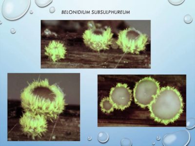 image for resource Where to Next? Emerging Practices in Location Awareness and in Online Publication