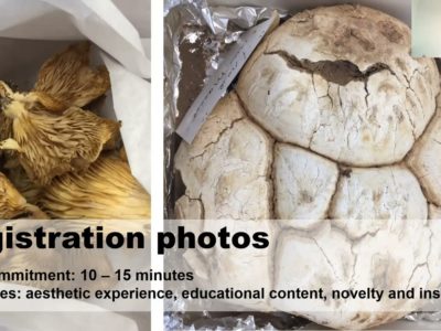 image for resource Quick, Nimble, Relevant: Planning Content for the Unplannable (and Staying Sane in the Process)